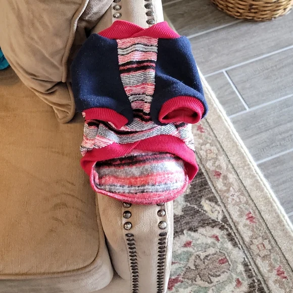 Dog outfit - Picture 2 of 5